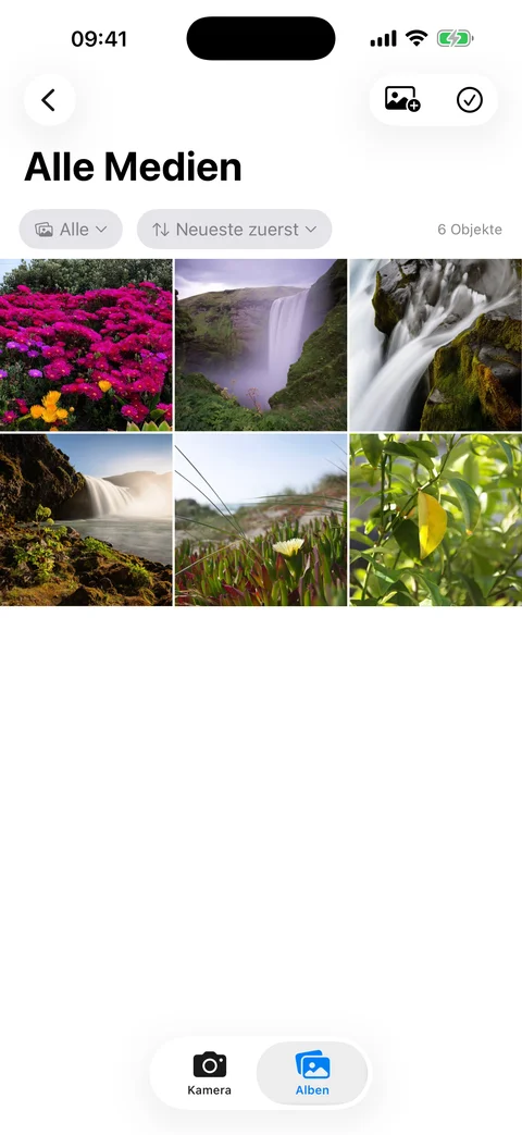 Medienraster von AtticAlbum mit Vorschaubildern, Suchleiste und Filtersteuerung