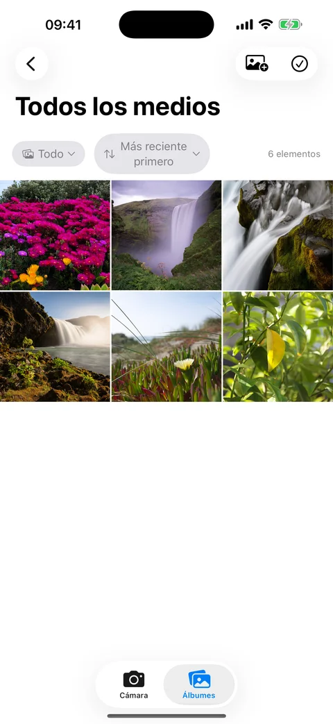 Cuadrícula de medios de AtticAlbum con miniaturas, barra de búsqueda y controles de filtro